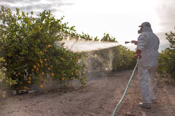 Best Local Pest Control Services  in Cameron, MO