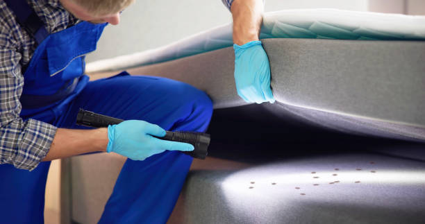 Best Affordable Pest Control Services  in Cameron, MO