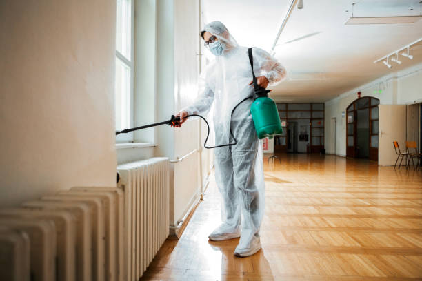 Best Flea Control Services  in Cameron, MO